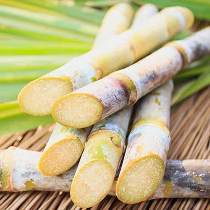 Aton Green Egypt Fresh Fruits & Vegetables